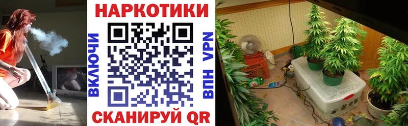 Codein Эртиль